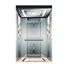 Promotional Top Quality Price Passenger Elevator Of